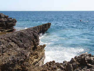 Chrwc2007_08_3.JPG (911162 bytes)