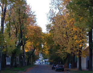 Zdj�cie zrobione aparatem FujiFinePix 2600Z